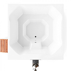 1-Купель ELITE QUATTRO 200 термососна (линейка ELITE)