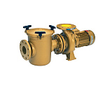 Насос с префильтром Baikal C 3000 2.2 кВт, 220/380 В