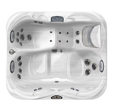Jacuzzi СПА бассейн Platinum 193x168x81см J-315NEW(обрамлен. Roasted Chesnut)