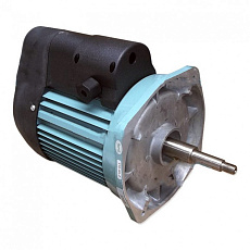 Двигатель к насосу SB15, 220В Emaux Двигатель к насосу SB15, 220В Emaux