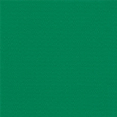 Пленка ПВХ (лайнер), DLW NGC - green (зеленый), (ширина 1,65м)
