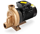 Насос бронзовый без префильтра 1,1kw (19,8 м3/ч, 230/400В)
