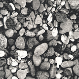 Пленка ПВХ (лайнер), NGD stones, (ширина 1,65м)