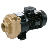 Насос бронзовый без префильтра 1.5kw (30 м3/ч, 230/400В) Насос бронзовый без префильтра 1.5kw (30 м3/ч, 230/400В)