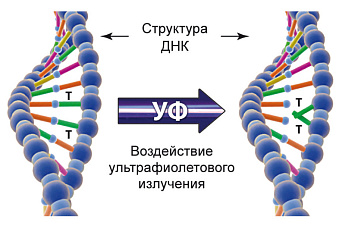 2-УФ-обеззараживатель ЛИТ Master DUV-1-87-N MST