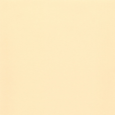 Пленка ПВХ (лайнер), DLW NG - sand (песочный), (ширина 2,00м)