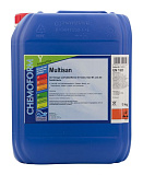 Chemoform Multisan, 10л