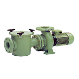 Насос с префильтром Aral C 3000, 2.95 кВт, 380/660 В