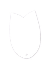 Пленка белая (ширина 1,65м), "White SBG 150"