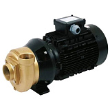 Насос бронзовый без префильтра 5,5kw (80 м3/ч, 400/690В)