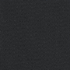 Пленка ПВХ (лайнер), DLW NG - black (черный), (ширина 1,65м)