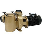 Насос бронзовый с префильтром 7,5kw (102 м3/ч, 400/690В)